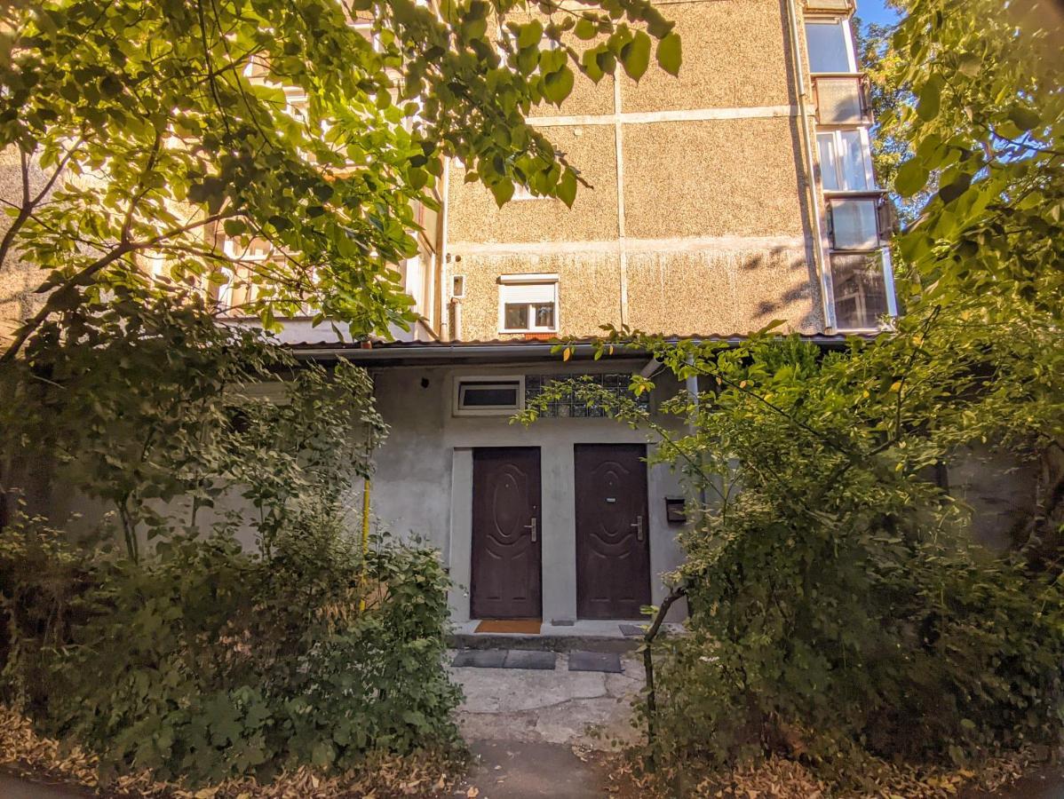 Moss'S Economy Studio Timisoara Exterior photo